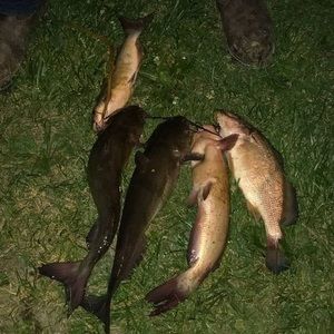 Meet your Posher, Jacob